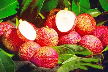 澄邁無核荔枝：品味脆爽醇香，營養(yǎng)價值高