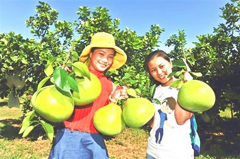 澄邁：富硒品牌農(nóng)業(yè)進(jìn)一步做大做強(qiáng)