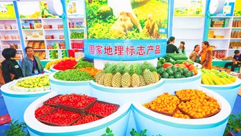 2019年冬交會今天開幕，共設34個展館（區(qū)）