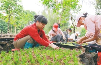 ?？冢航陙硎a(chǎn)業(yè)“遍地開花”