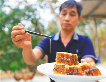 瓊中：讓一批批特色產業(yè)落地生“金”