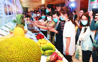三亞：創(chuàng)新種業(yè)高地，打造國際化南繁硅谷