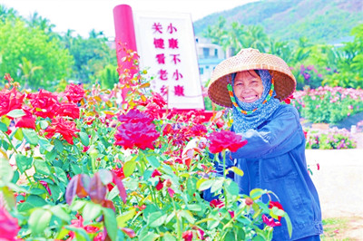 上半年三亞各休閑農(nóng)業(yè)示范點(diǎn)接待游客約250萬(wàn)人次