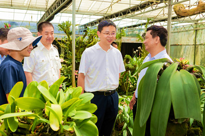 劉沖：大力實施科技興農(nóng)戰(zhàn)略 帶動農(nóng)民增收致富