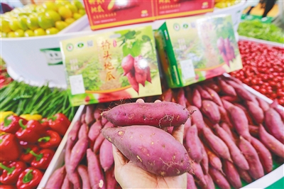澄邁：新形象，富硒元素成特色農(nóng)產(chǎn)品“賣點”