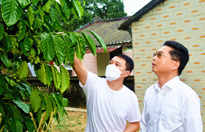 龍衛(wèi)東：重塑文昌百年咖啡文化，打造獨(dú)具特色咖啡品牌