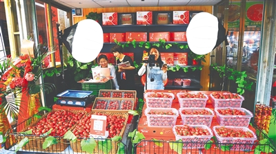 定安：提升潭黎圣女果品牌曝光度，助力農(nóng)民增收