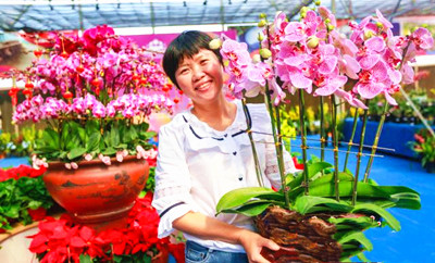 昌江持續(xù)探索創(chuàng)建特色花卉產(chǎn)業(yè)，打造花卉品牌效應(yīng)