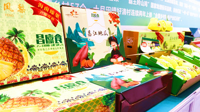 昌江熱帶特色農產品亮相2024海南熱帶水果博覽會
