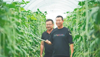 樂(lè)東平均每天三百車(chē)瓜果菜出島